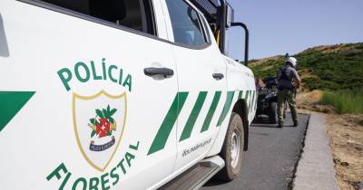 Polícia Florestal deteta construção ilegal em área do Parque Natural da Madeira