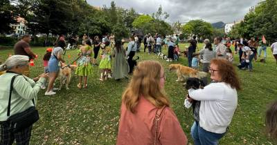 A Junta de Freguesia do Imaculado Coração de Maria, em parceria com a Associação Vamos Lá Madeira, promoveu, ontem, no Jardim de Santa Luzia, um evento dedicado à causa animal.