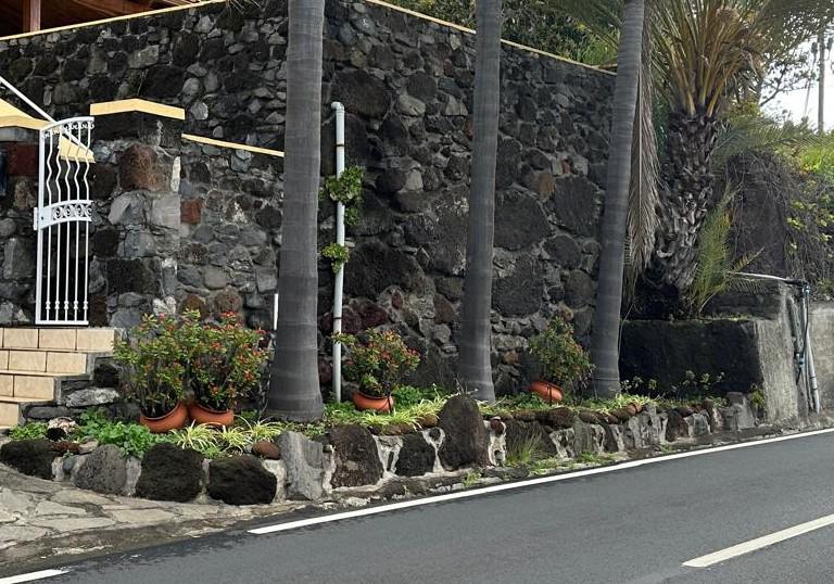 IFCN expõe “bons resultados” no controlo de espécie invasora