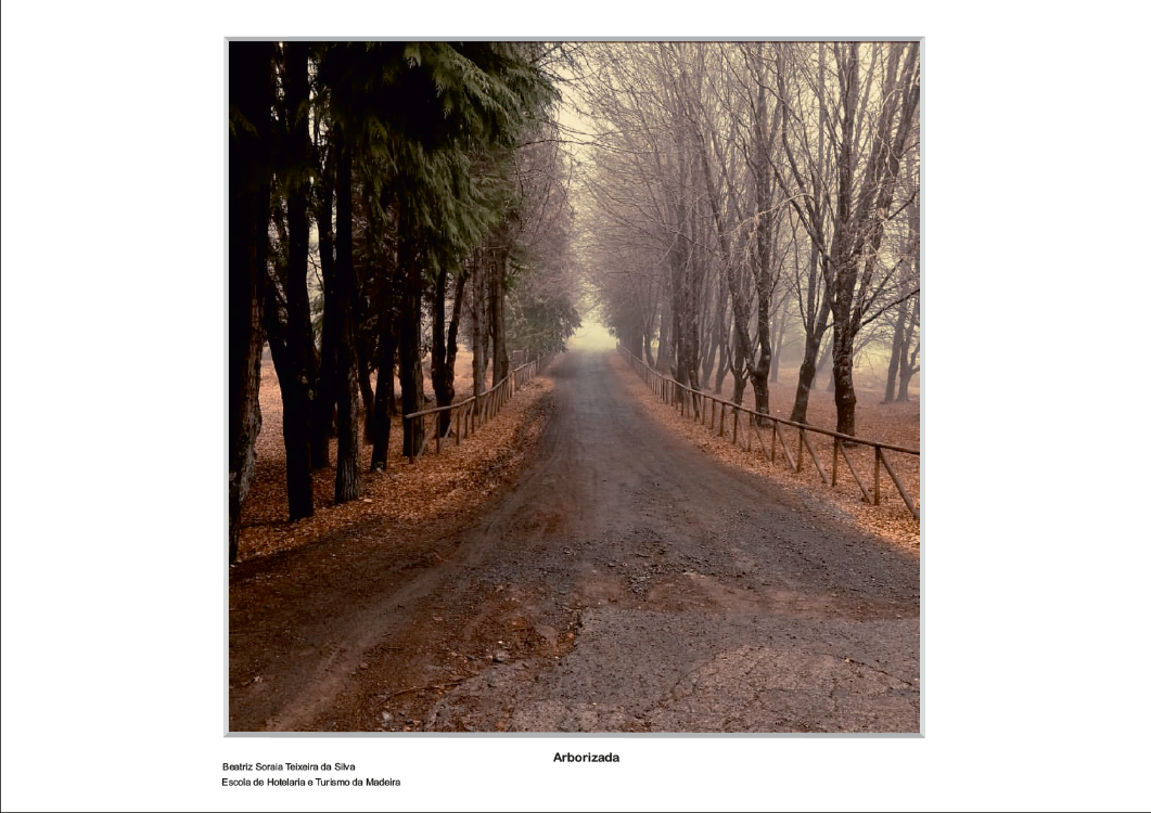 Conheça as fotos selecionadas para o Concurso de Fotografia Digital ‘Paisagens da Madeira’