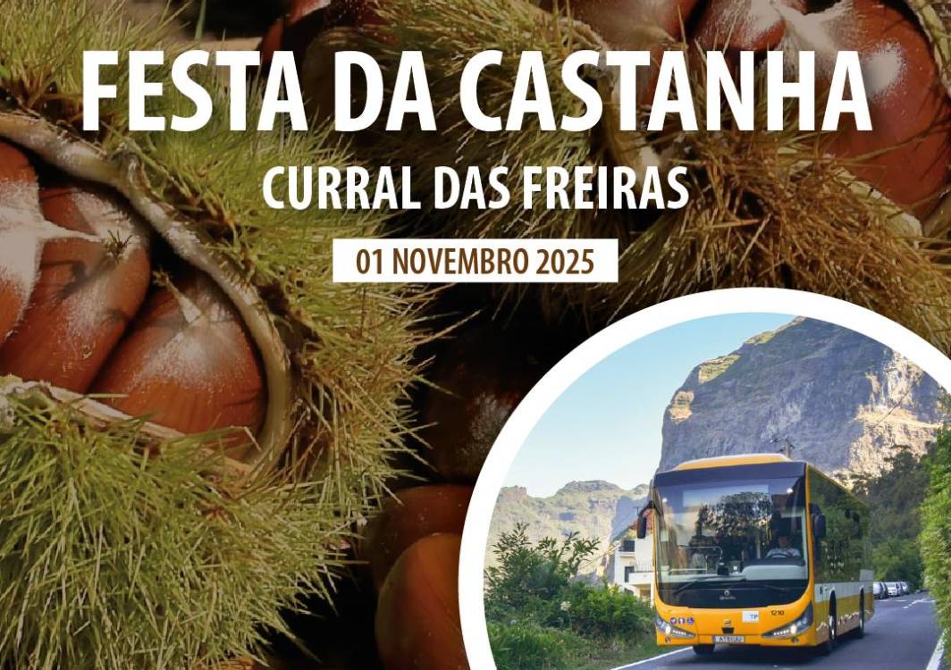Horários do Funchal reforça transporte para a Festa da Castanha