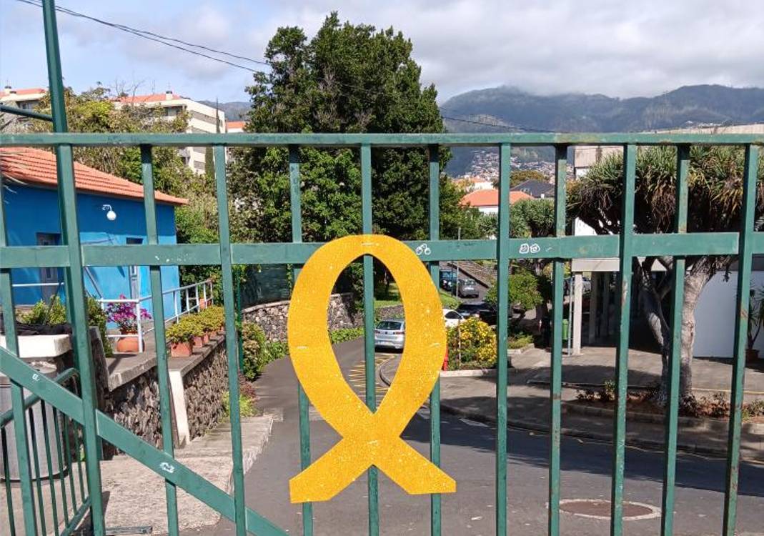 Escola Gonçalves Zarco assinala Dia Internacional da Criança com Cancro