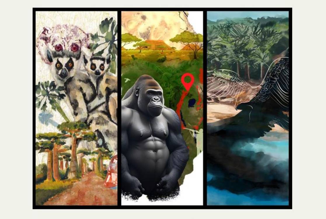 Livro e exposição alertam para espécies em risco de extinção também na Madeira