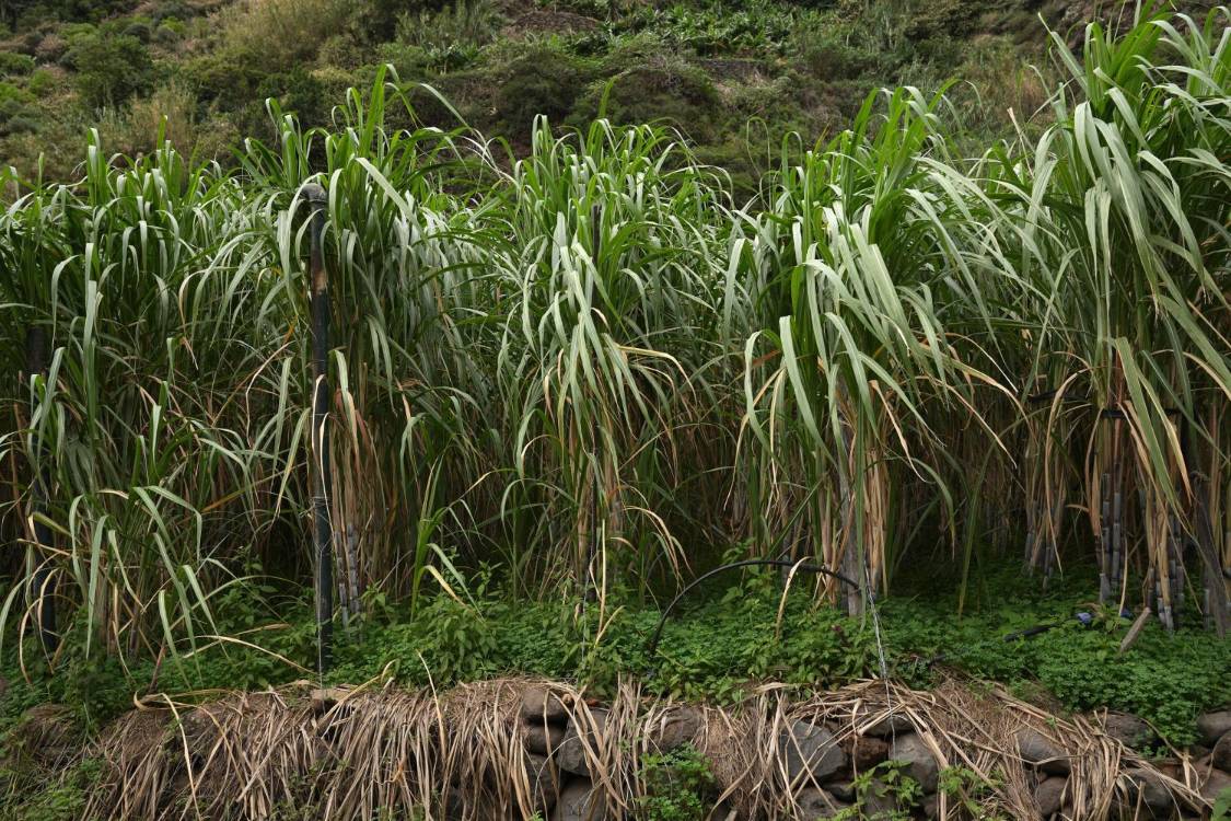 O campo entre duas cidades