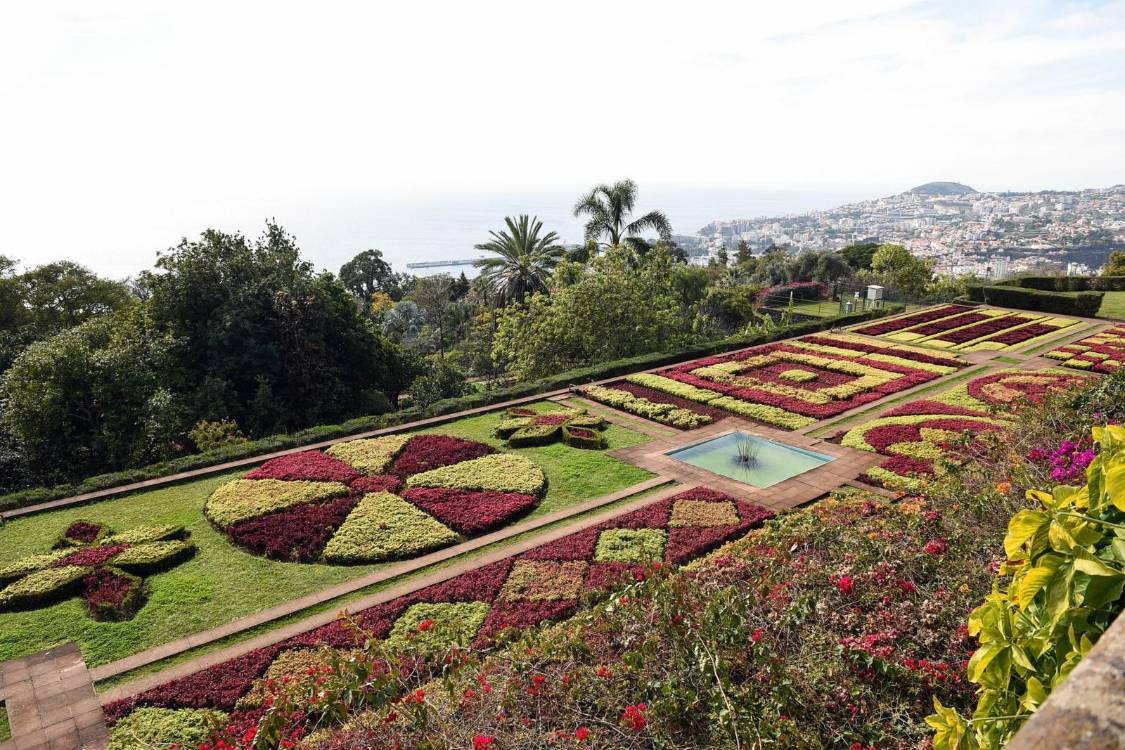 Albuquerque nos 66 anos do Jardim Botânico