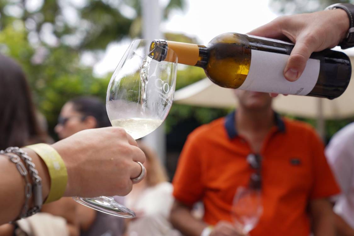 ‘Terreiro a Copo’ saboreia vinhos de 25 produtores nacionais (com fotos)