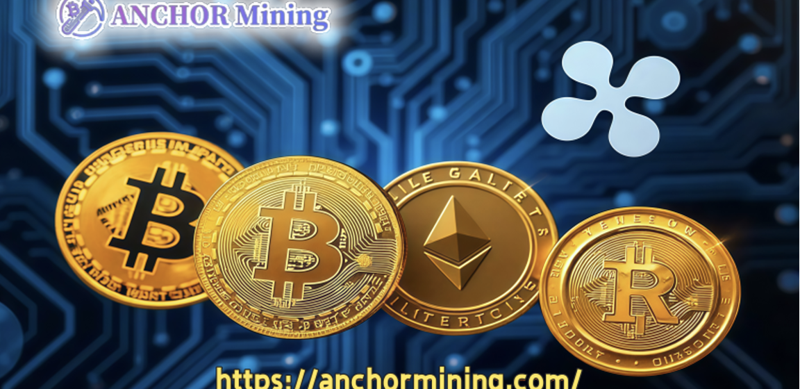 Investigação no local revela: Por que cada vez mais pessoas estão ganhando US$ 2.000 por dia usando a mineração por âncora?