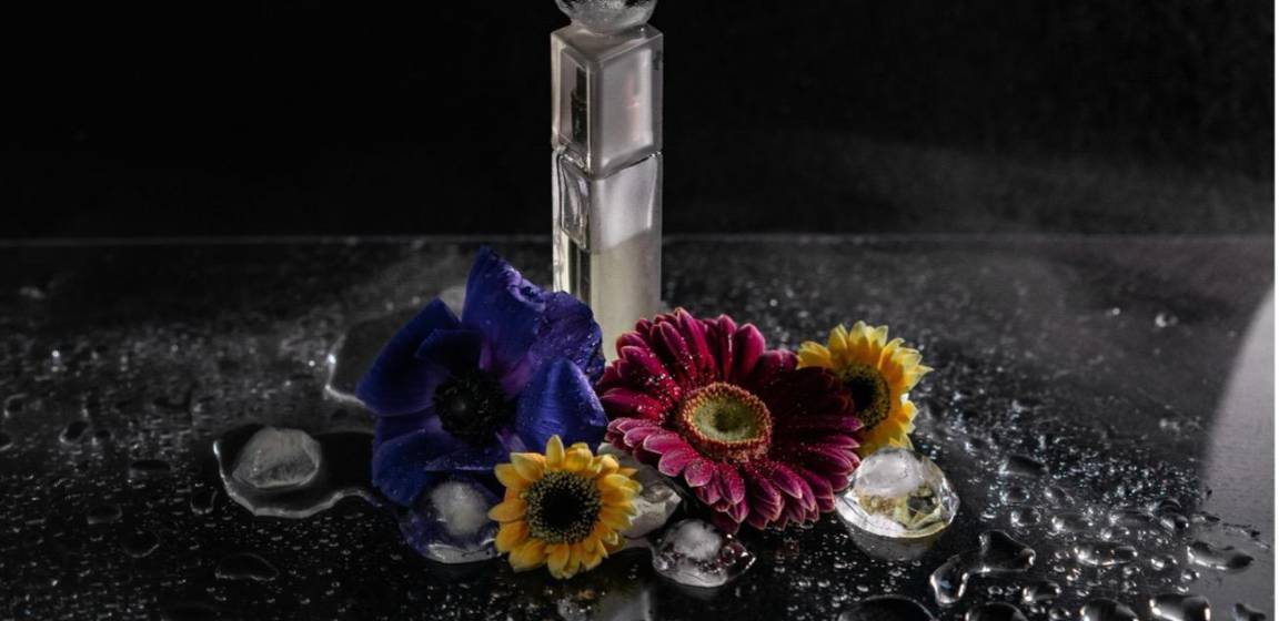 Mercado de perfumes em expansão em 2026, quais fragrâncias dominam e por quê