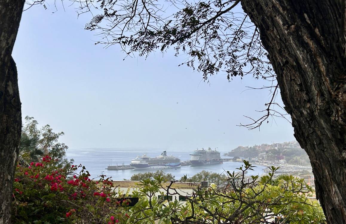 Porto do Funchal acolhe dois navios esta quarta-feira