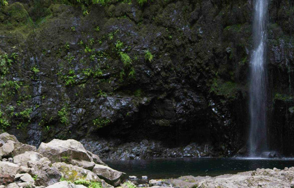 Galeria Tratuário recebe mostra fotográfica que apela à consciência e à ação