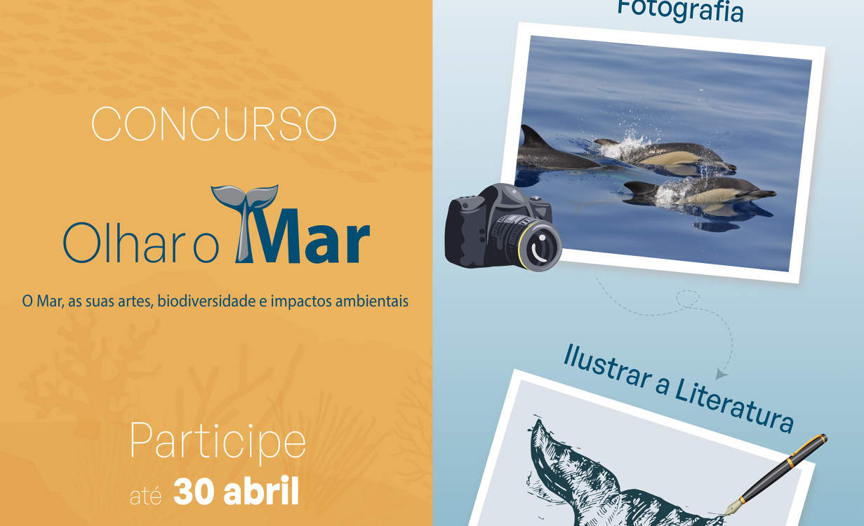Museu da Baleia promove concurso ‘Olhar o Mar’
