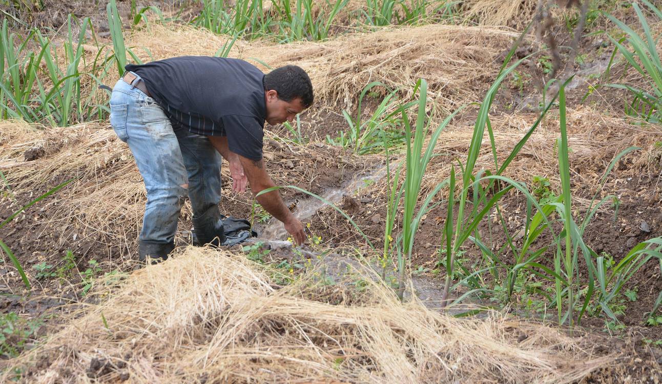 Publicado diploma que regulamenta apoio a agricultores para investir em renováveis