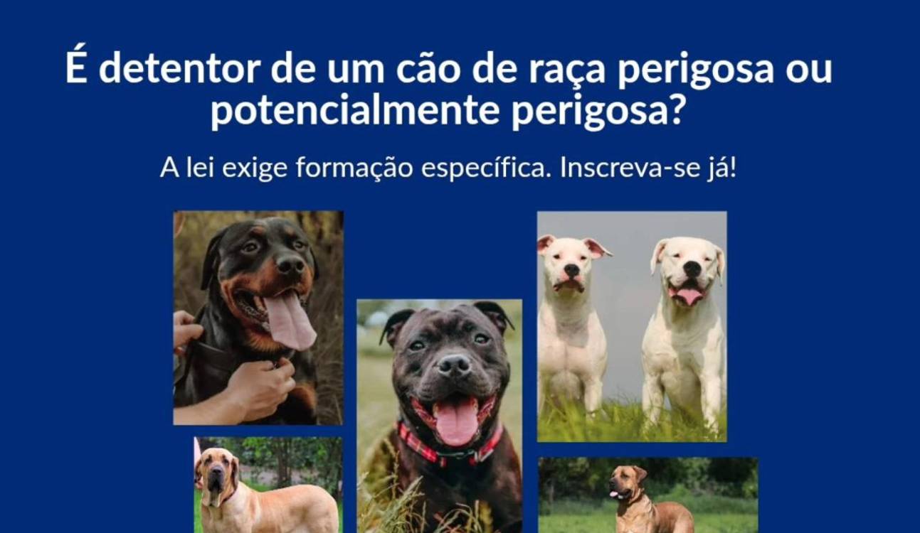 PSP promove curso de formação para detentores de cães perigosos