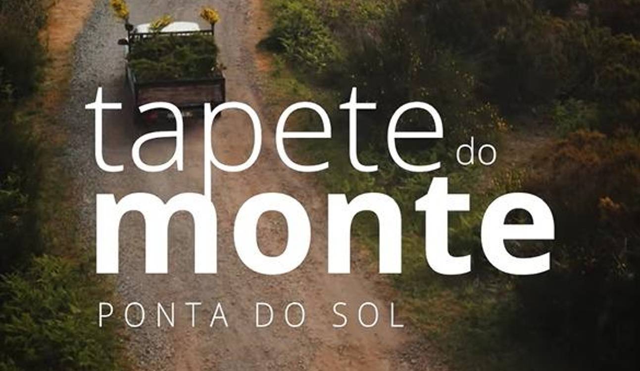 Ponta do Sol prepara maior tapete de flores da Madeira (com vídeo)