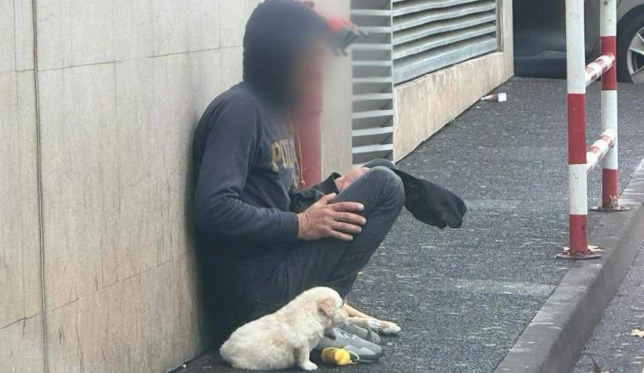 Associação denuncia abuso de animais “para fazer negócio”