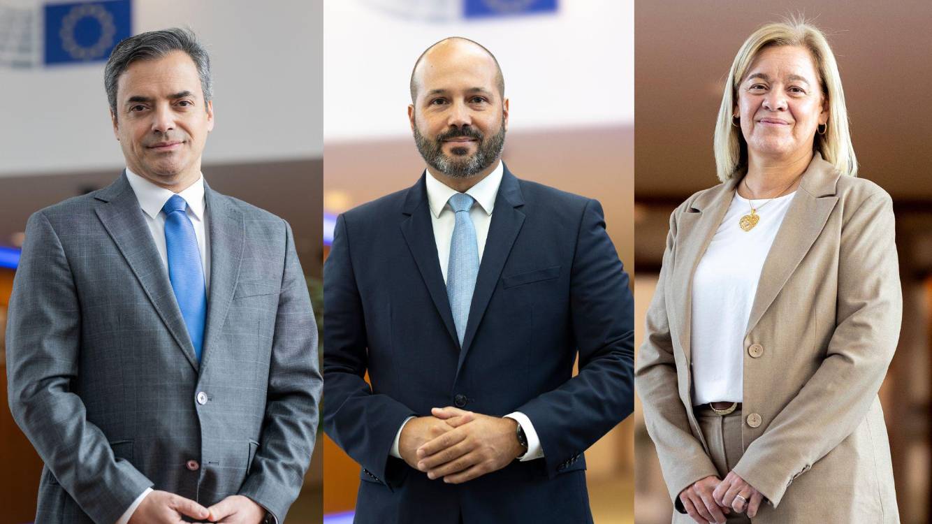 Eurodeputados do PS propõem aumento do POSEI e adaptação do programa à inflação
