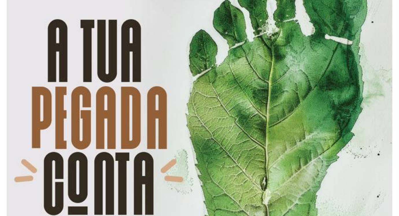 Câmara Municipal do Funchal assinala Semana do Ambiente com programa diversificado