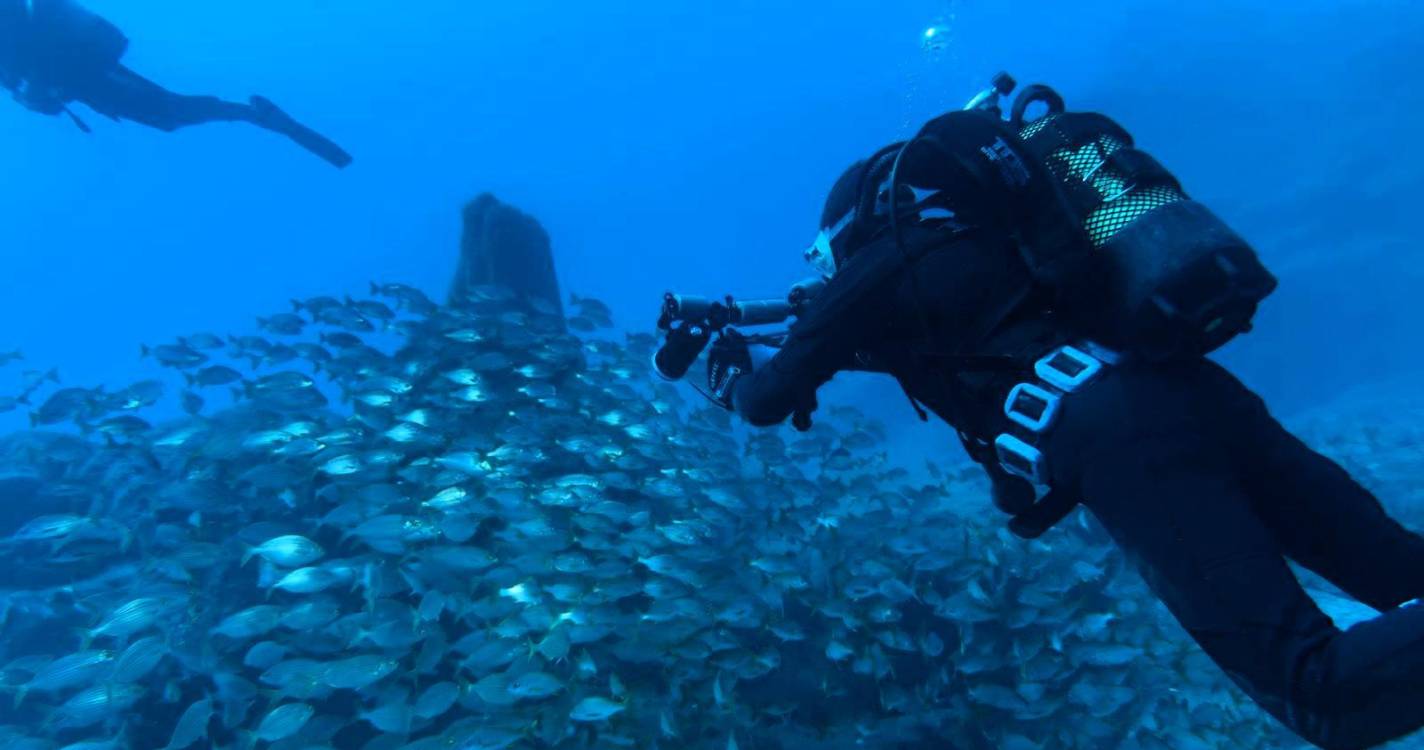 Depois do Porto Santo, prova de fotografia e vídeo subaquáticos já decorre na Madeira (com vídeo)