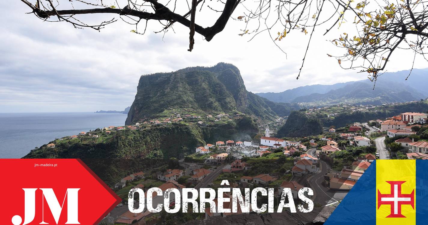 Queda de árvore obriga a intervenção dos bombeiros no Faial