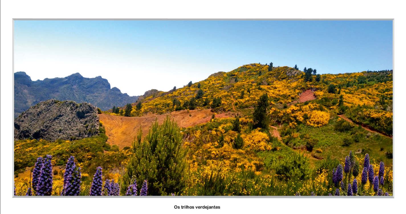 Conheça as fotos selecionadas para o Concurso de Fotografia Digital ‘Paisagens da Madeira’