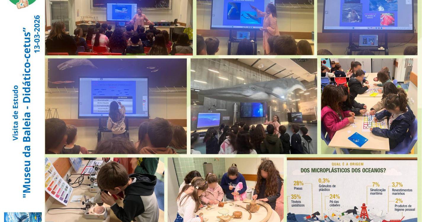 Alunos da Ponta do Sol visitam Museu da Baleia da Madeira