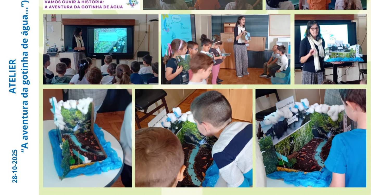 Crianças da EB1/PE/C da Ponta do Sol descobrem o ciclo da água