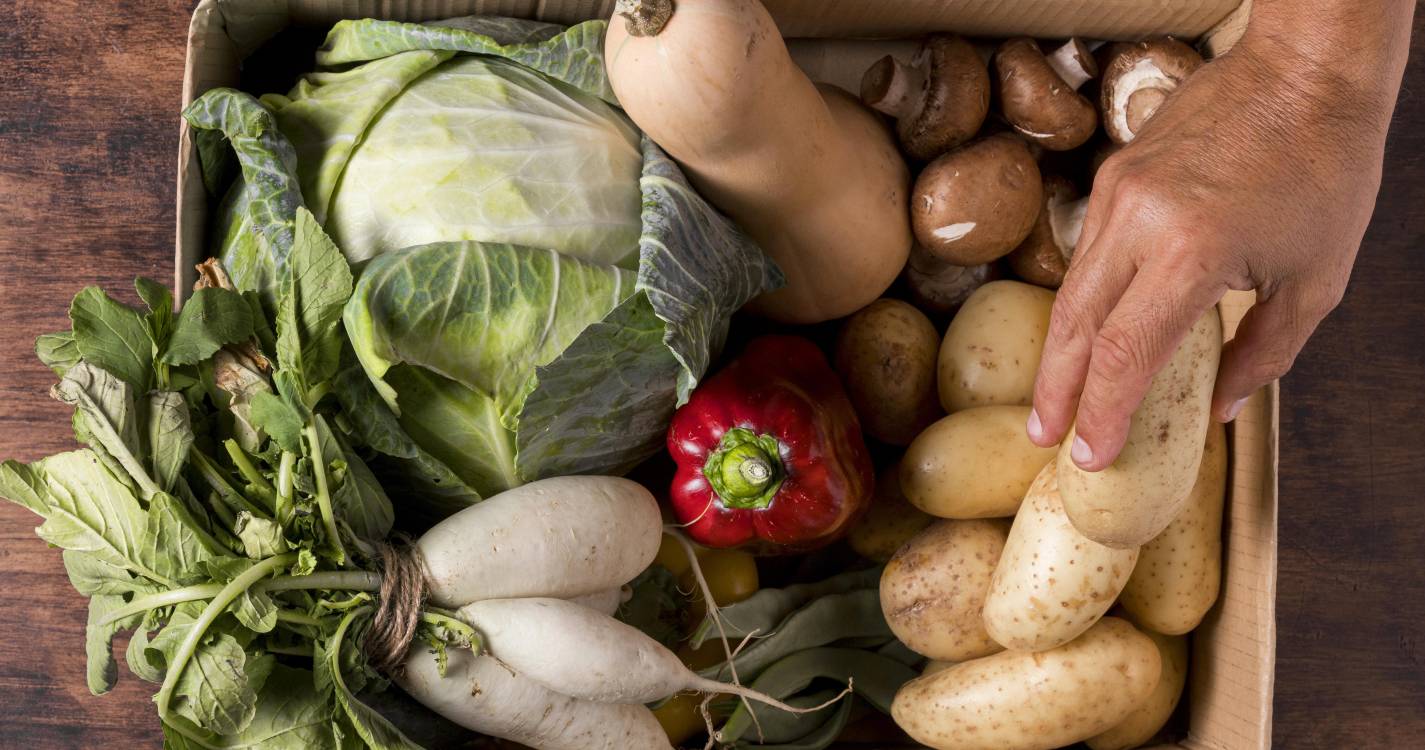 Decoproteste: Preço do cabaz alimentar desce ligeiramente