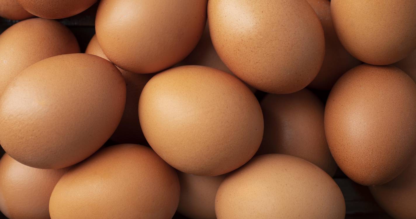 Meia dúzia de ovos mais cara 50 cêntimos desde 2025