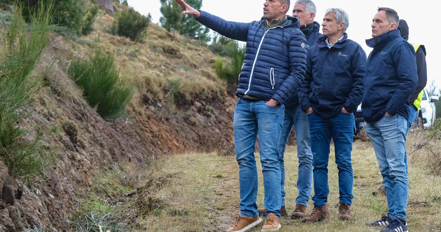 IFCN visita investimentos florestais privados