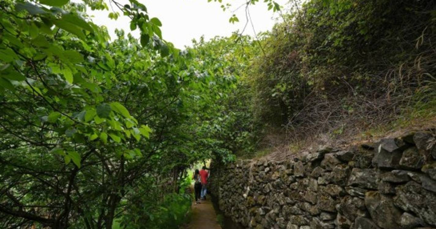 Poço e cascata em pleno coração de São Roque do Faial por descobrir (com fotos)