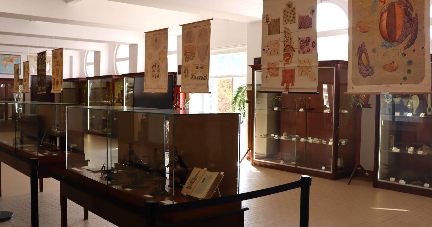 Lentes da Memória: exposição recorda a microscopia no antigo Liceu