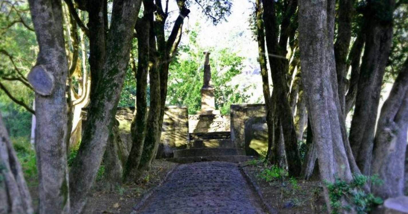 Perdidos e Achados: Era uma vez um cônsul britânico que fez vida na Madeira (com fotos)