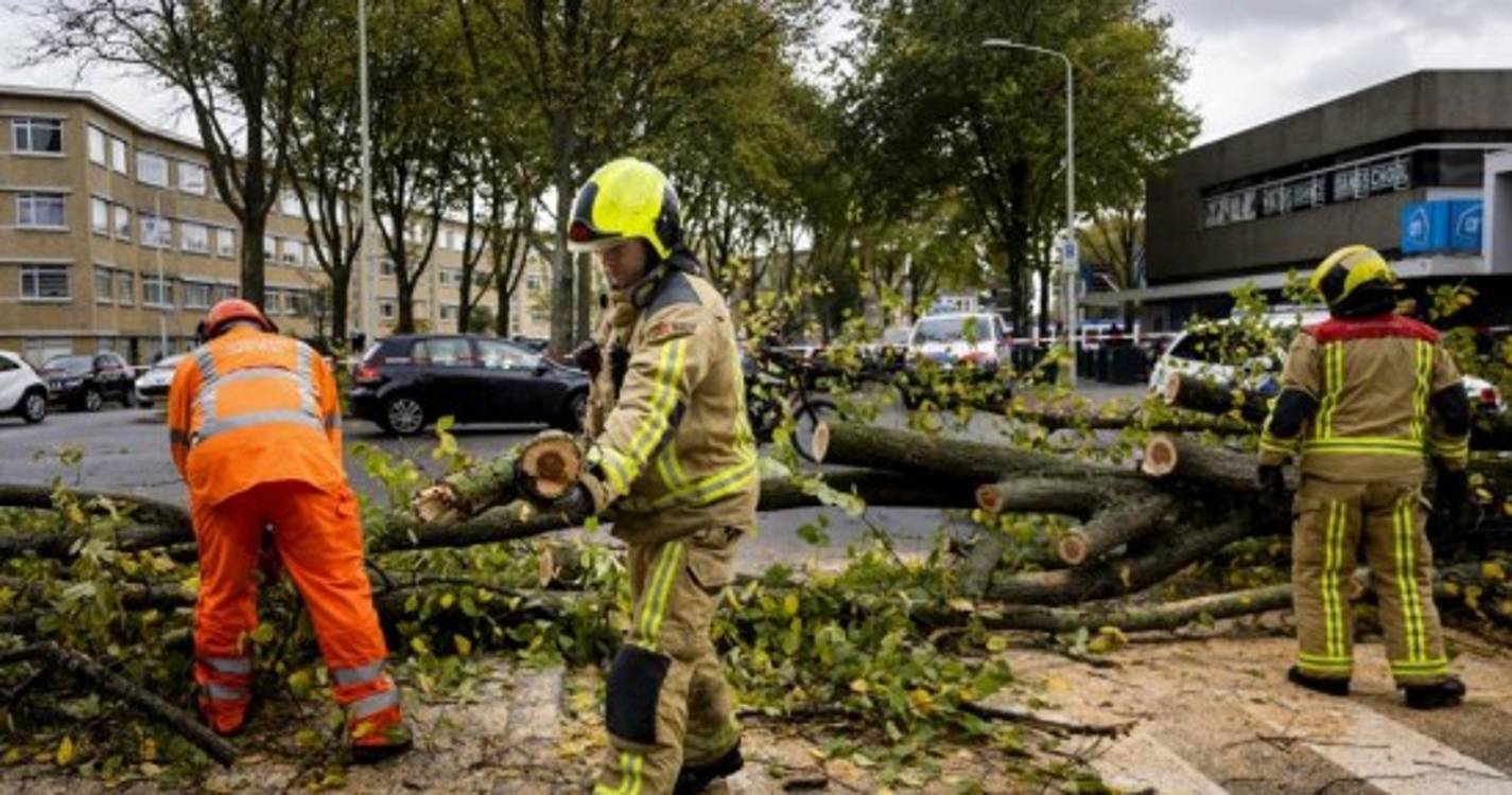 Tempestade Ciarán deverá ter originado os ventos mais fortes registados em décadas (com fotos)