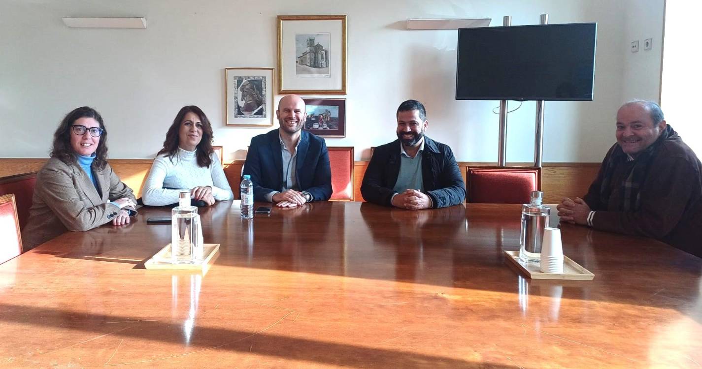 PS defende equilíbrio entre a defesa dos direitos de autor e a proteção das bandas