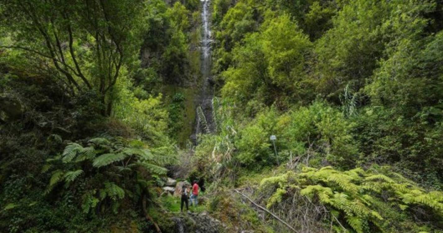 Poço e cascata em pleno coração de São Roque do Faial por descobrir (com fotos)