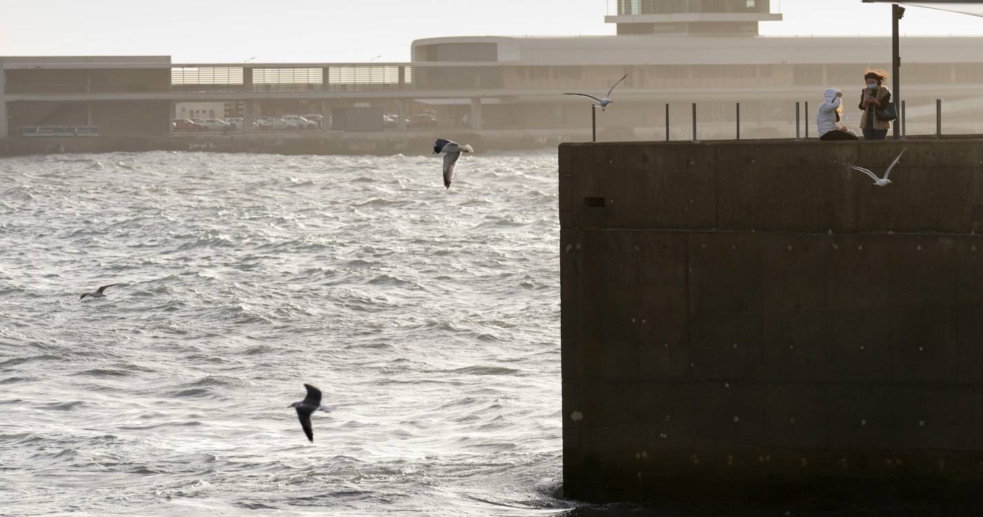 Costa norte e Porto Santo sob aviso laranja com ondas até 12 metros