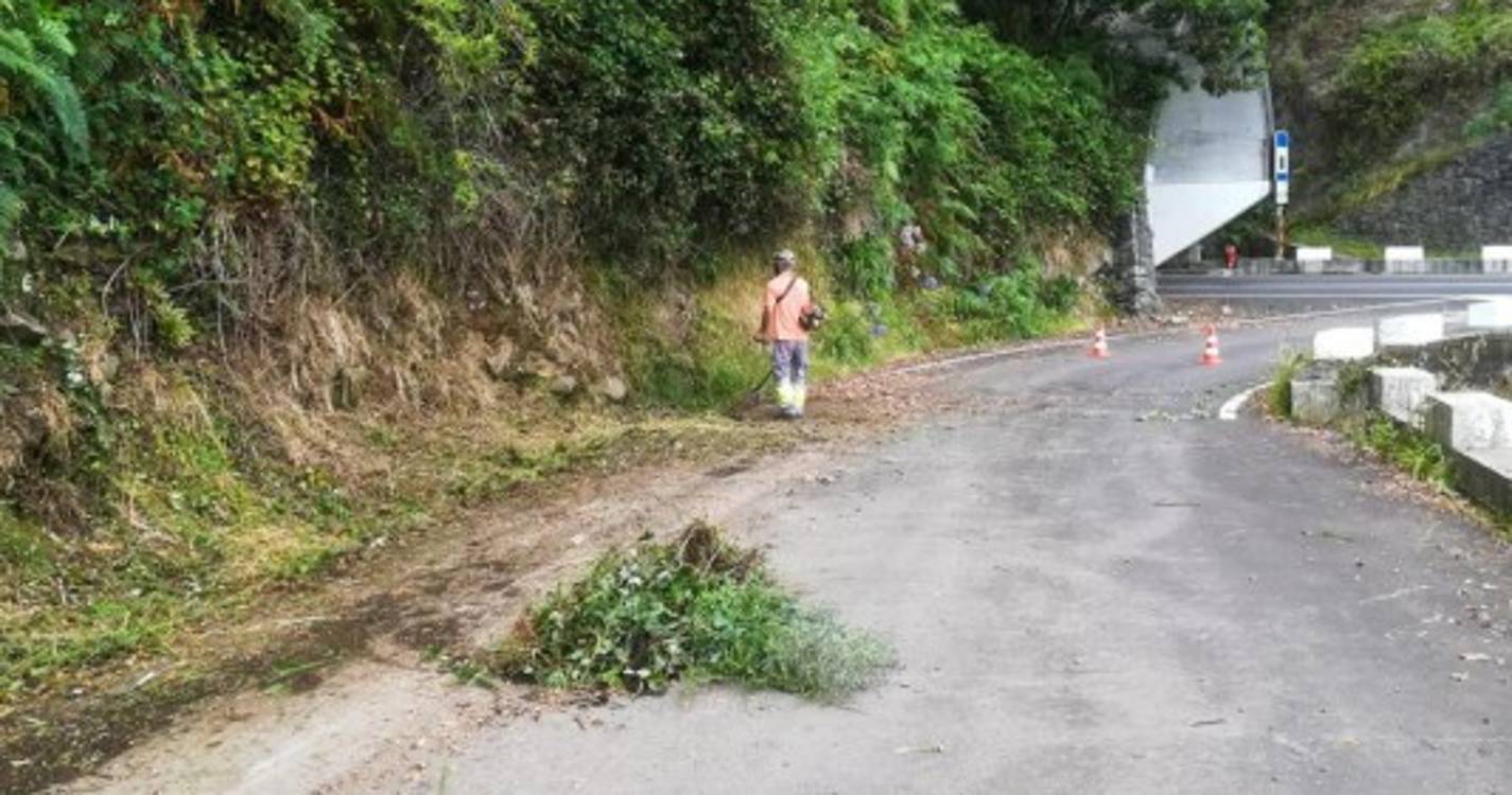 Antiga estrada regional no Seixal alvo de limpeza (com fotos)