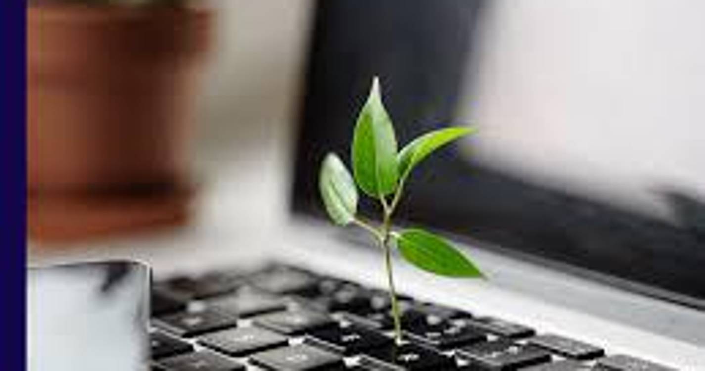 SEDES Madeira e GDG Madeira organizam mesa redonda sobre sustentabilidade no digital