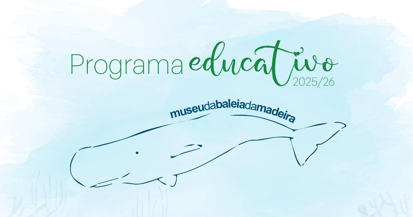 Museu da Baleia disponibiliza o programa educativo e lança Projeto BaleiArte