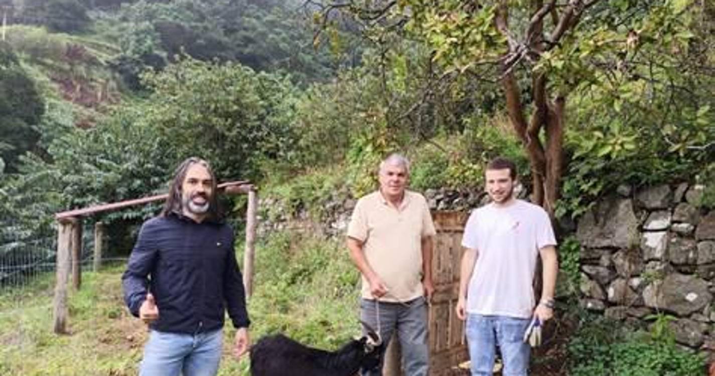 Governo quer dinamização dos espaços agrícolas e explorações mais sustentáveis