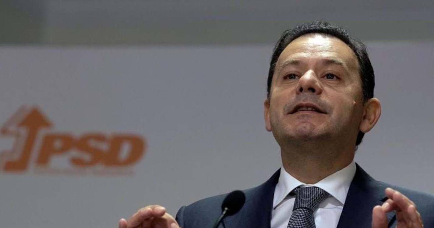 Eleições: Montenegro quer recuperar deputado em Beja e dedica vinho “Amnésia” a Pedro Nuno