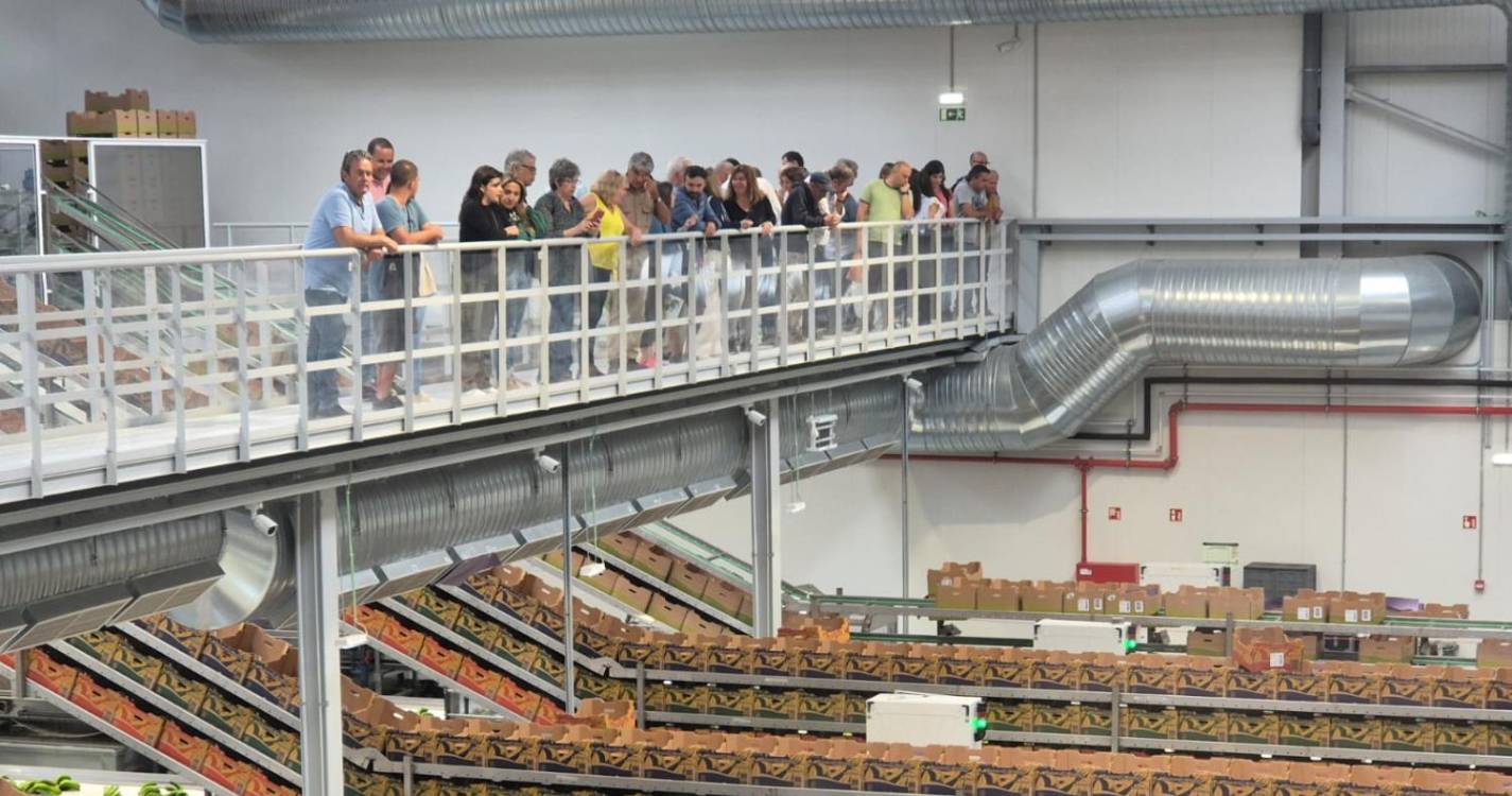 GESBA investe em aumento de monocarril e em formação