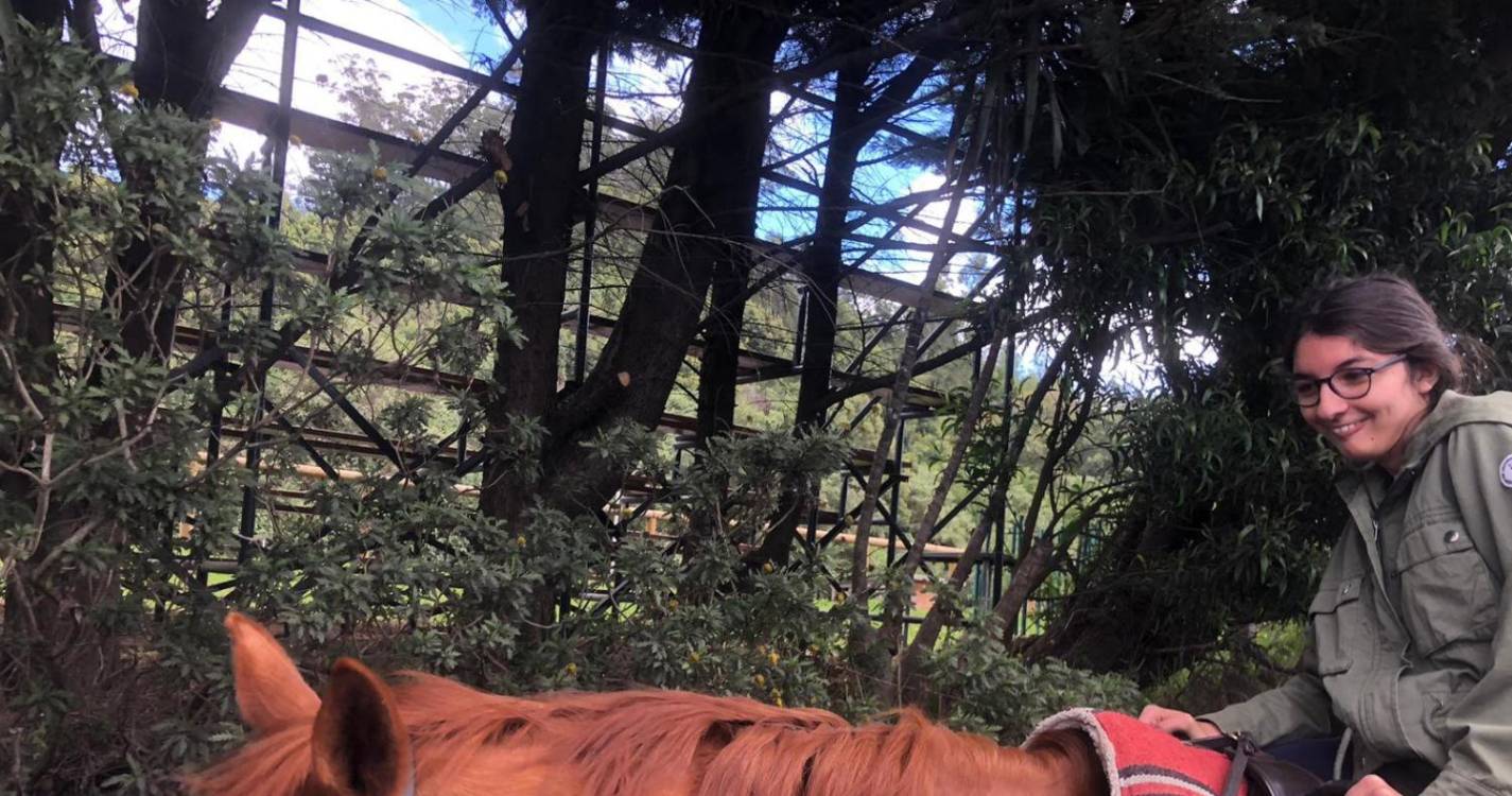 Associação Hípica da Madeira recebe alunos da Unidade de Ensino Especializado da Gonçalves Zarco (com fotos)