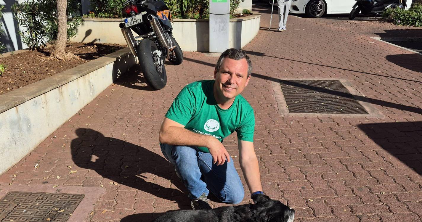 Ganança promete criar Centro de Recolha de Animais em Câmara de Lobos