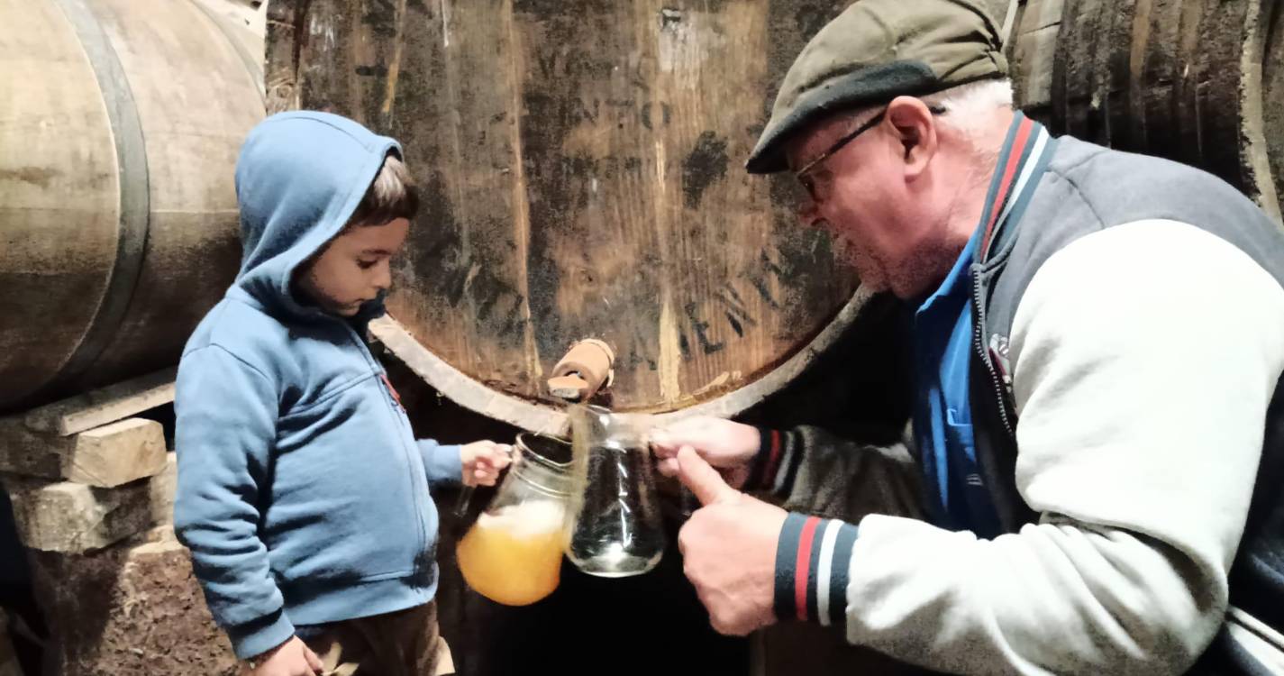 Prova de sidra amanhã em São Roque do Faial (com fotos)