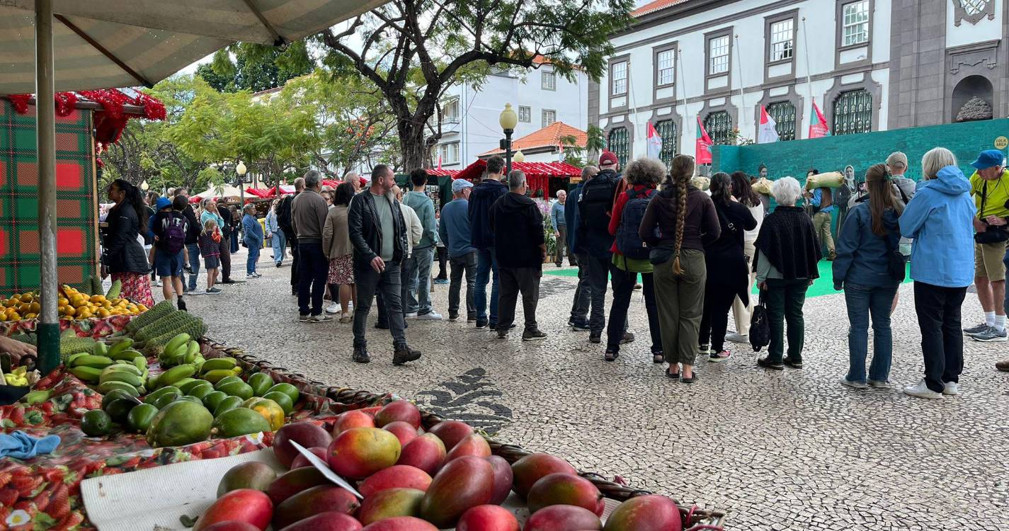 Despertar lento na Avenida Arriaga no dia a seguir ao Natal (com fotos)