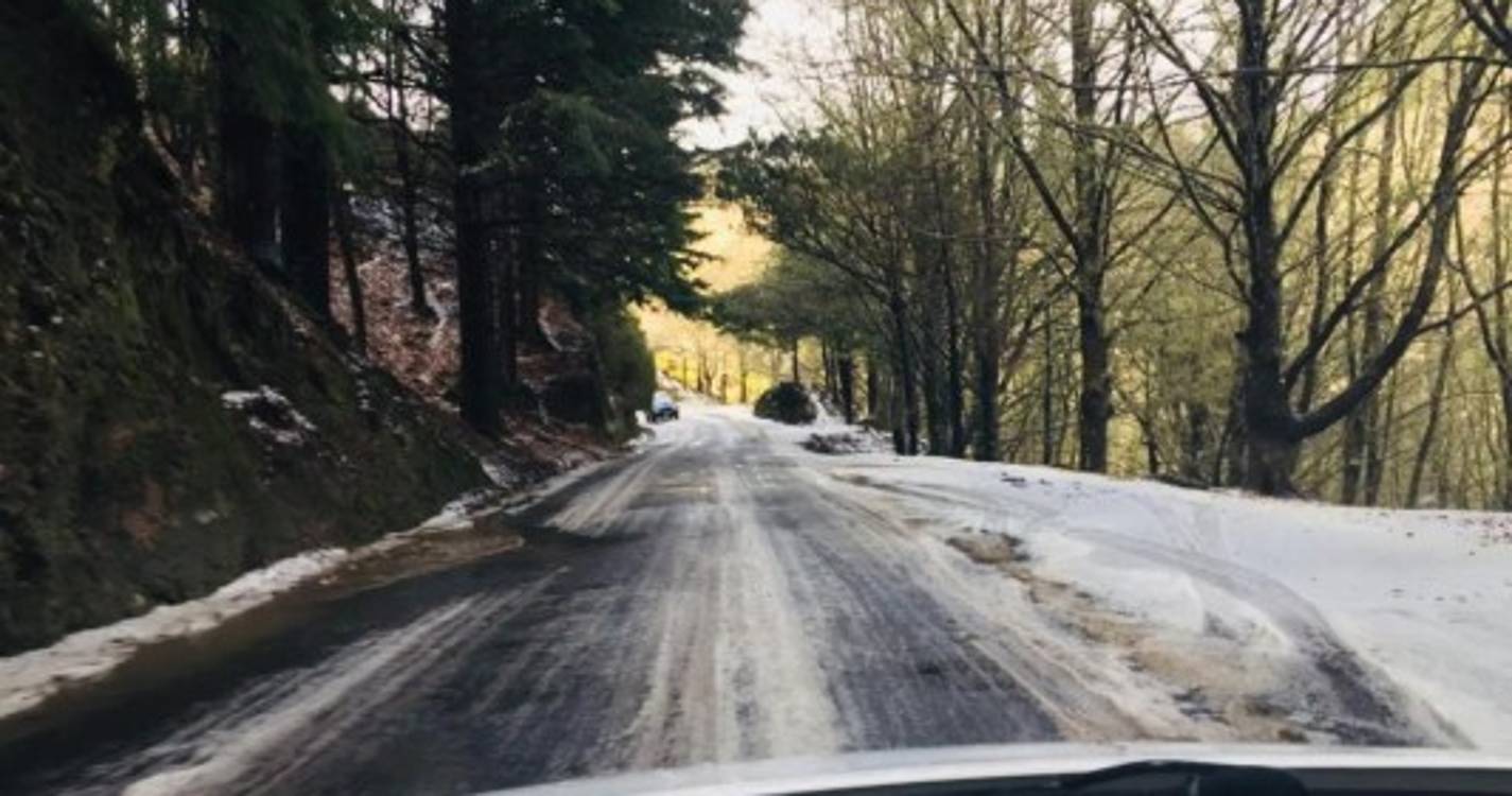 Neve está de volta às zonas altas da Madeira (com fotos)