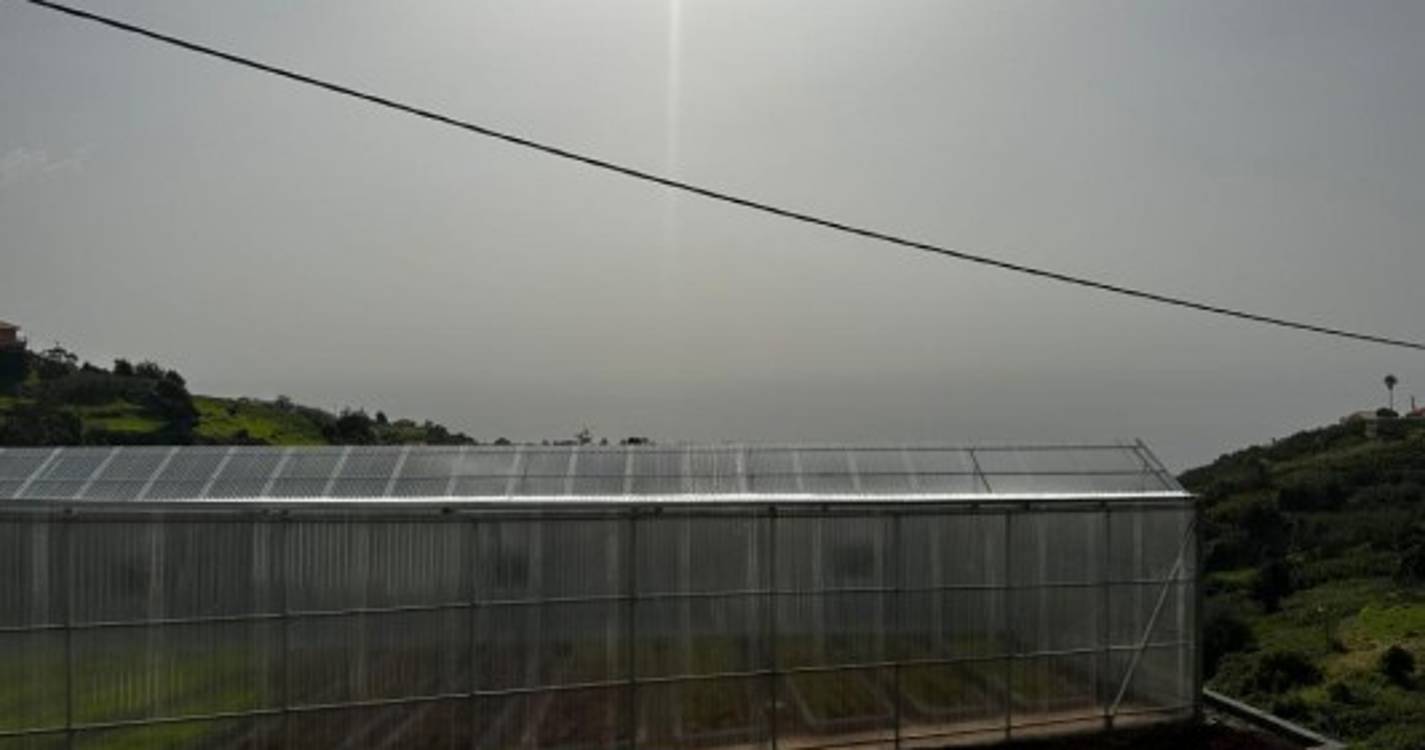 Futuro da agricultura passa pela incorporação de tecnologias nas explorações