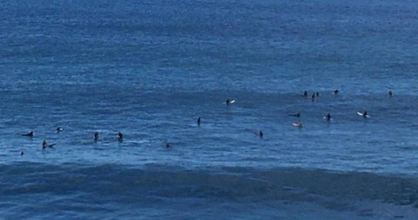 Jardim do Mar atrai surfistas (com vídeo e fotos)