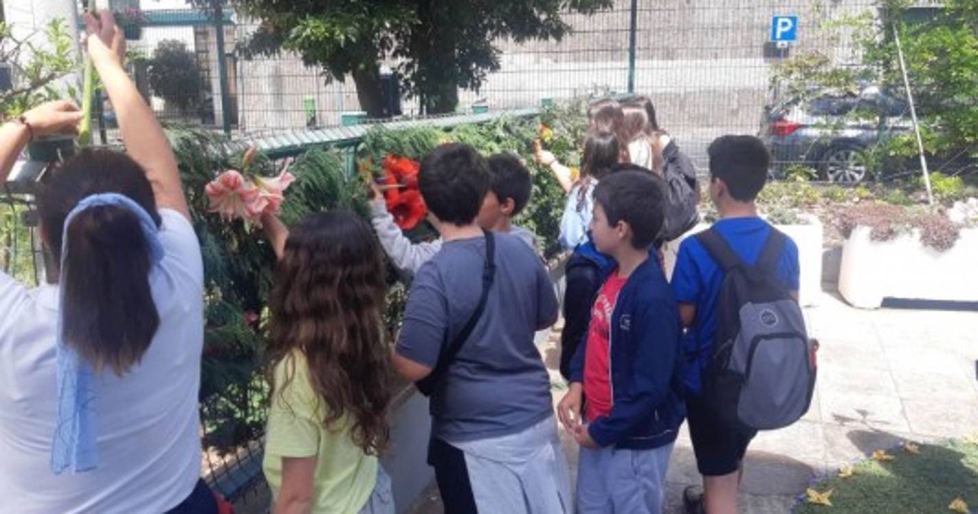 Estreito de Câmara de Lobos celebra Festa da Flor (com fotos)